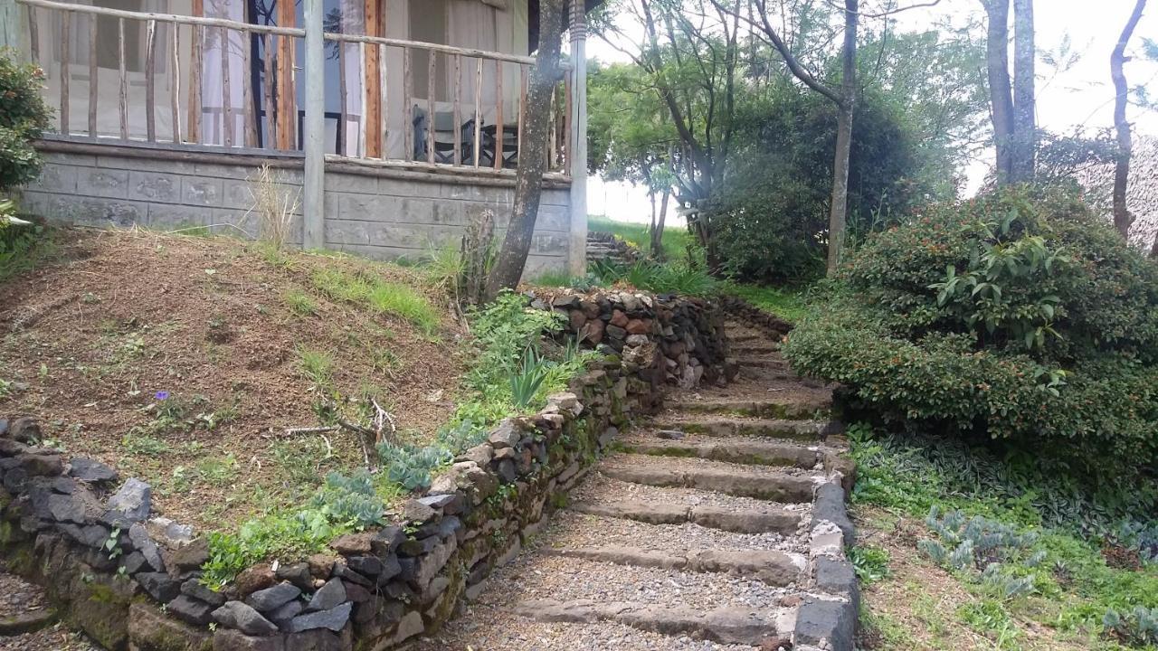 הוילה נקורו Maili Saba Camp מראה חיצוני תמונה