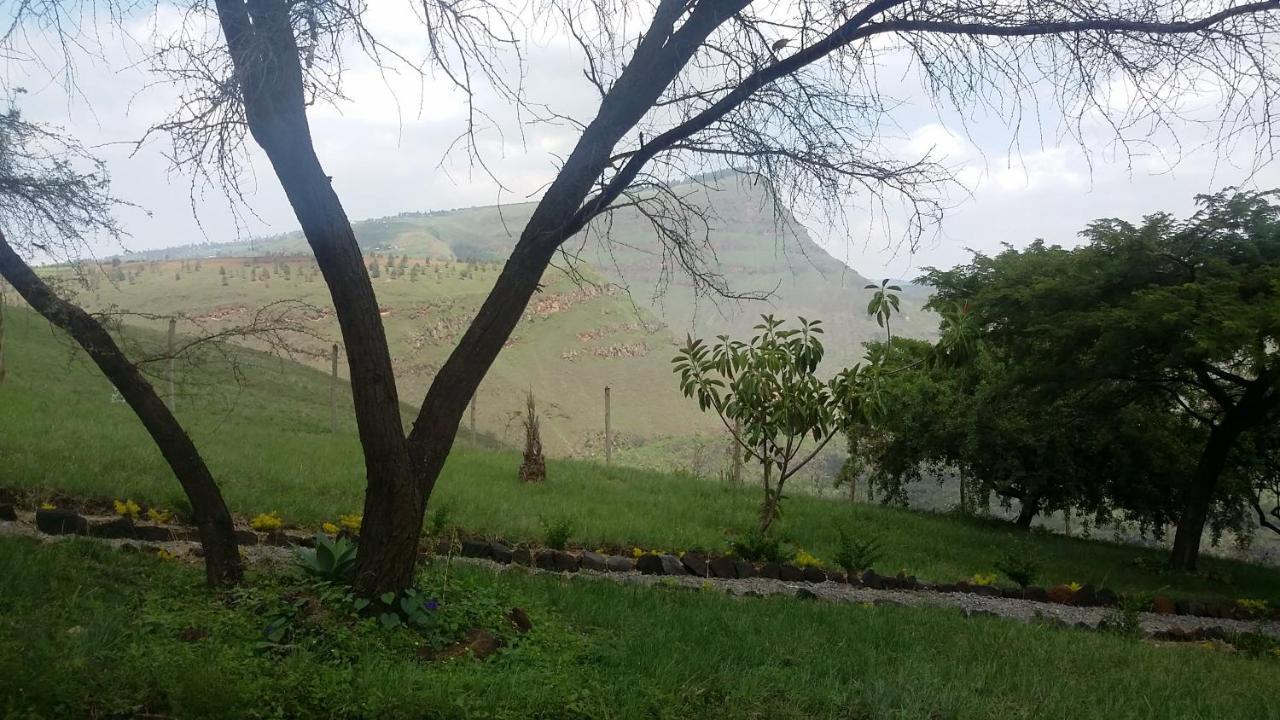 הוילה נקורו Maili Saba Camp מראה חיצוני תמונה