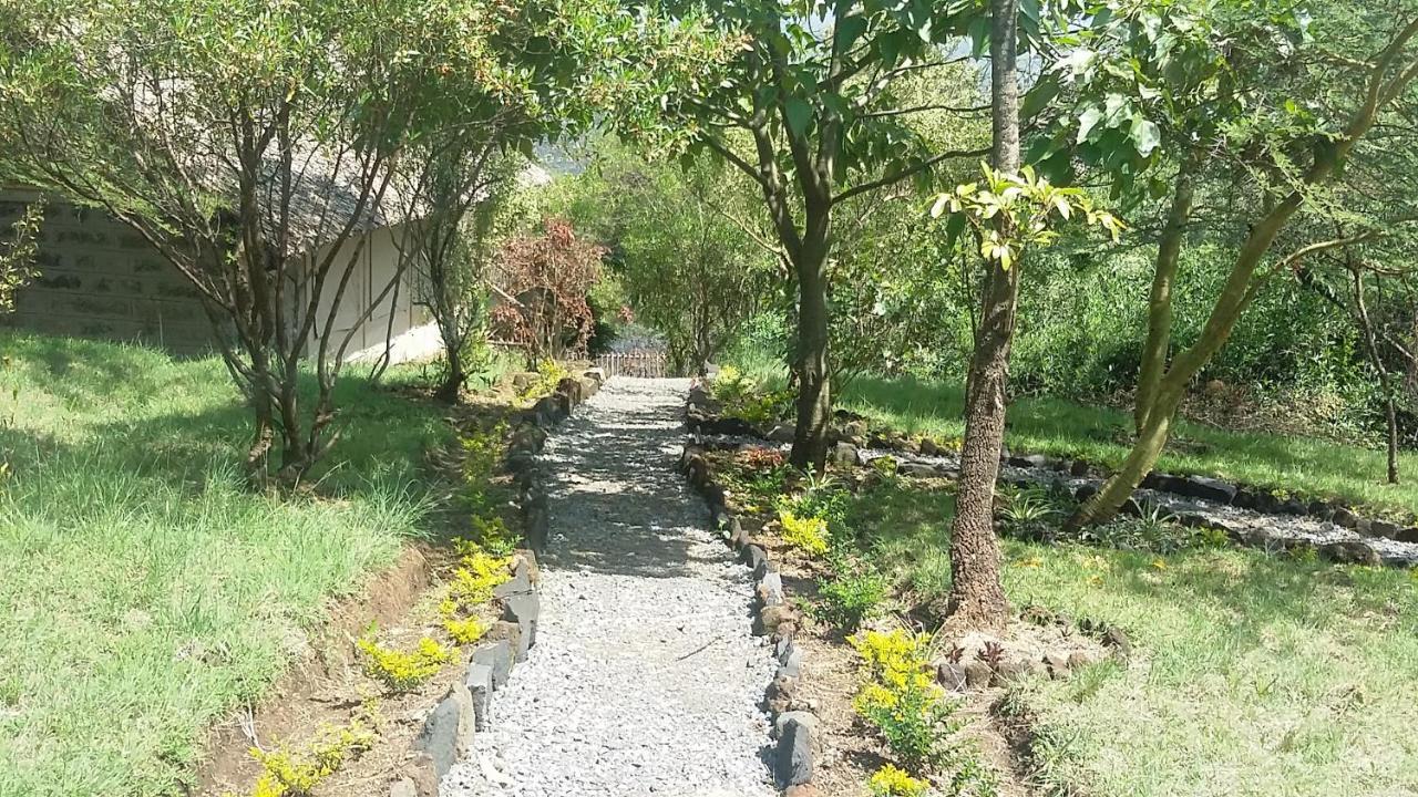 הוילה נקורו Maili Saba Camp מראה חיצוני תמונה