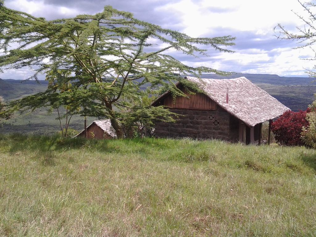 הוילה נקורו Maili Saba Camp חדר תמונה